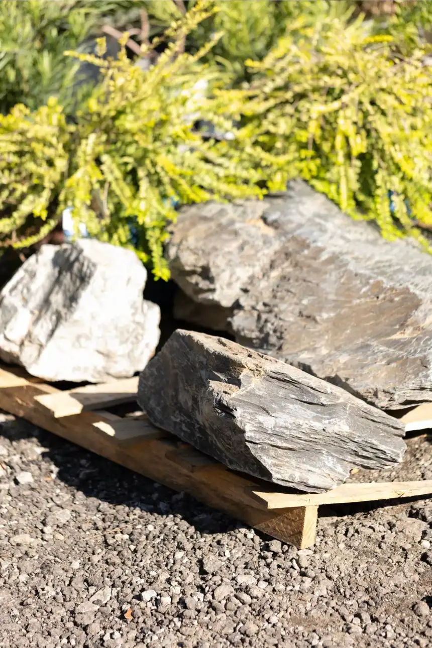 Boulders and accent stone
